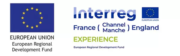 Experience Logo Footer